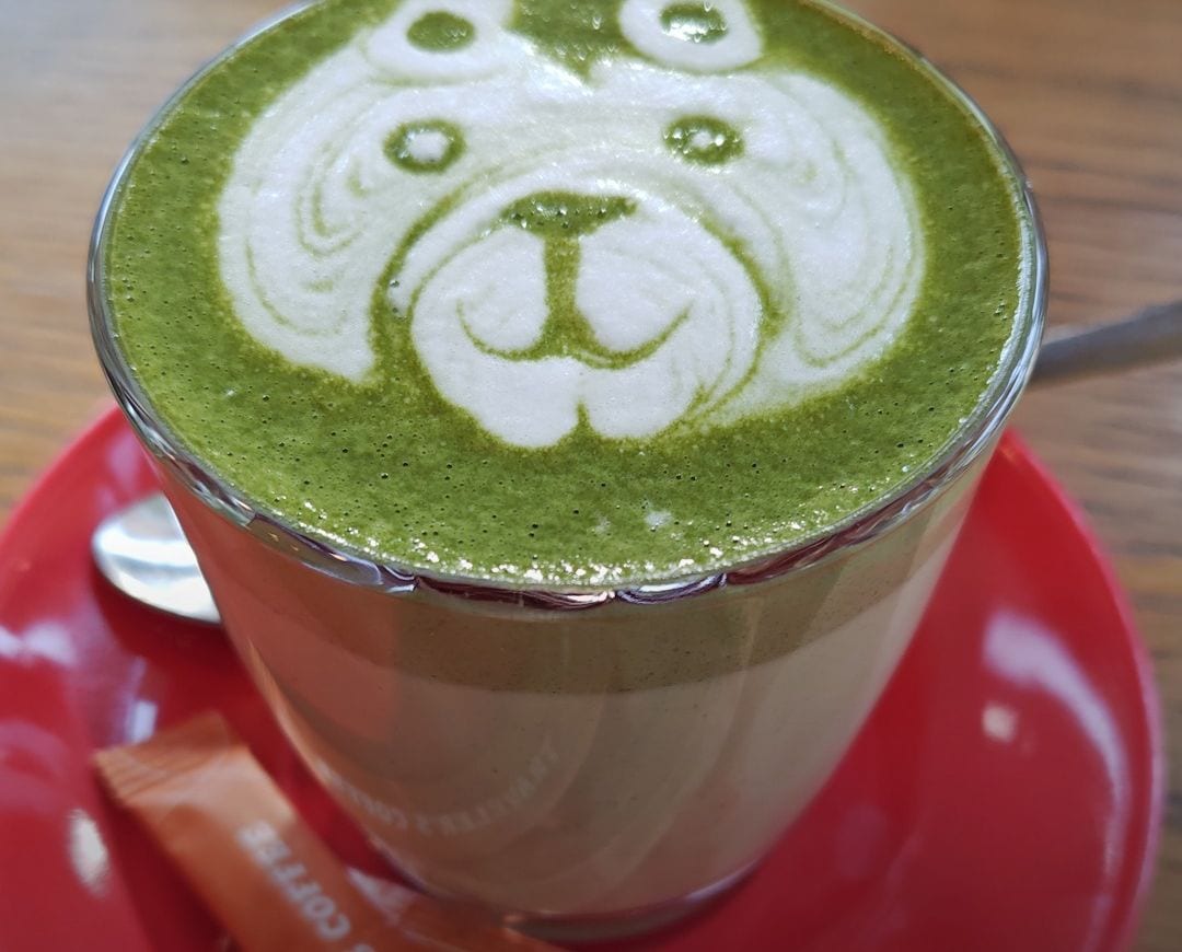 クマの抹茶ラテ